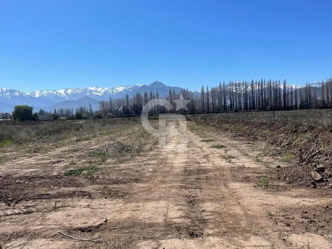 Parcela Los Andes Calle Larga Paso Basure