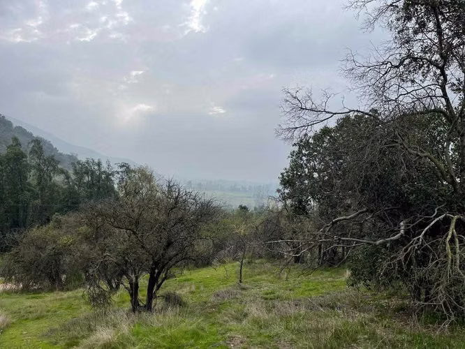 Vista Increíble al Valle, Parcela Aguila Sur (127766) - Imagen 7