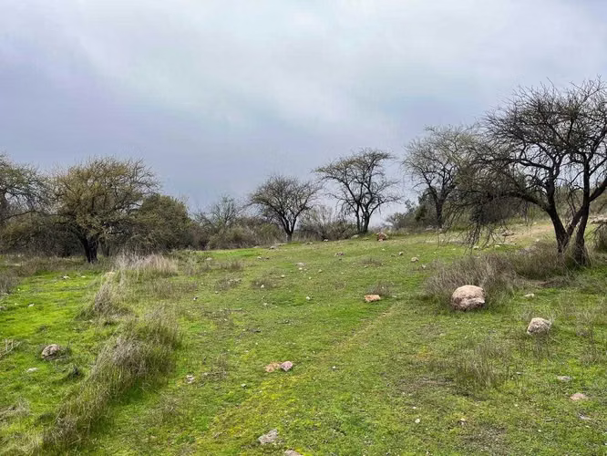 Vista Increíble al Valle, Parcela Aguila Sur (127766) - Imagen 8