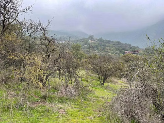 Vista Increíble al Valle, Parcela Aguila Sur (127766) - Imagen 9