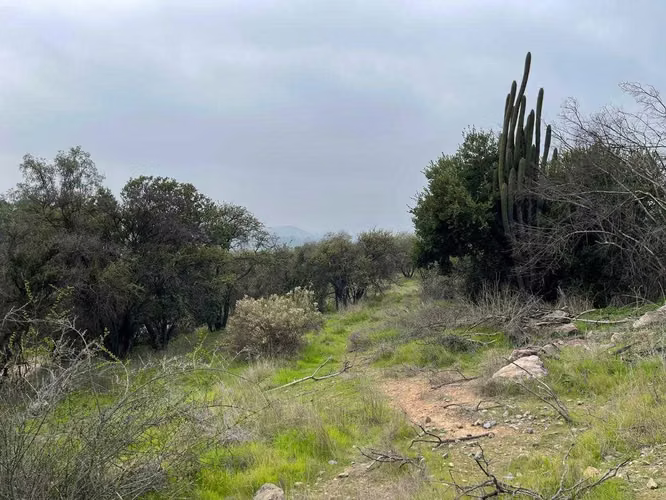 Vista Increíble al Valle, Parcela Aguila Sur (127766) - Imagen 11