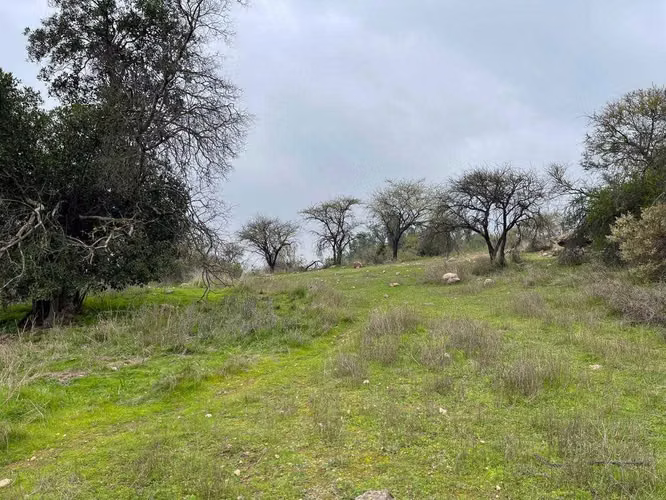 Vista Increíble al Valle, Parcela Aguila Sur (127766) - Imagen 10