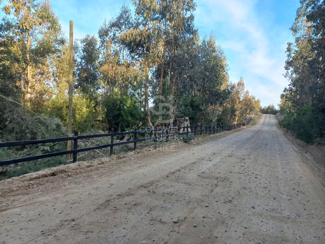 Parcelas agrícolas de 5.000 m² en Marchigüe