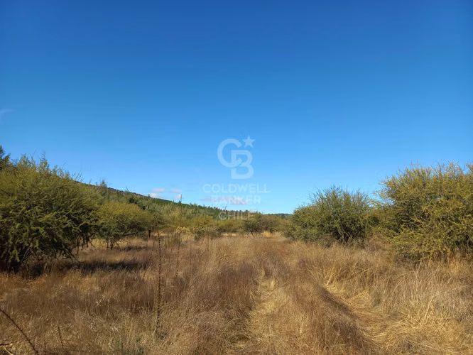 Parcelas agrícolas de 5.000 m² en Marchigüe