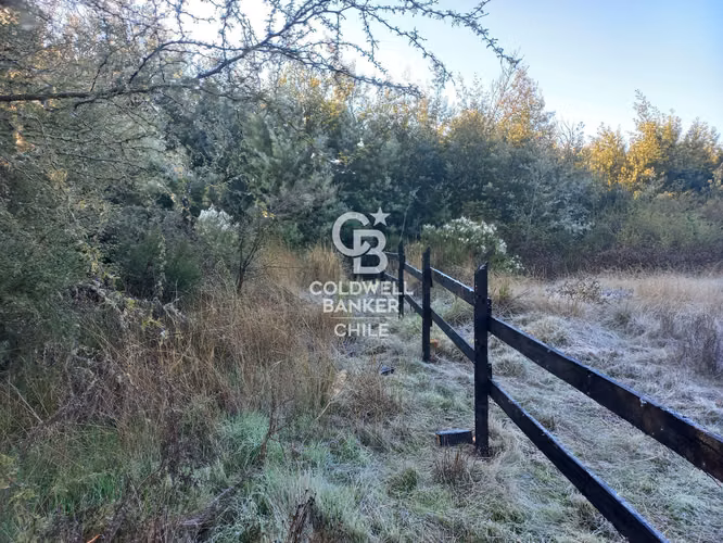 Parcelas agrícolas de 5.000 m² en Marchigüe