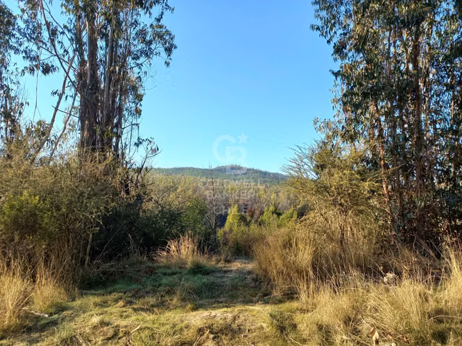 Parcelas agrícolas de 5.000 m² en Marchigüe