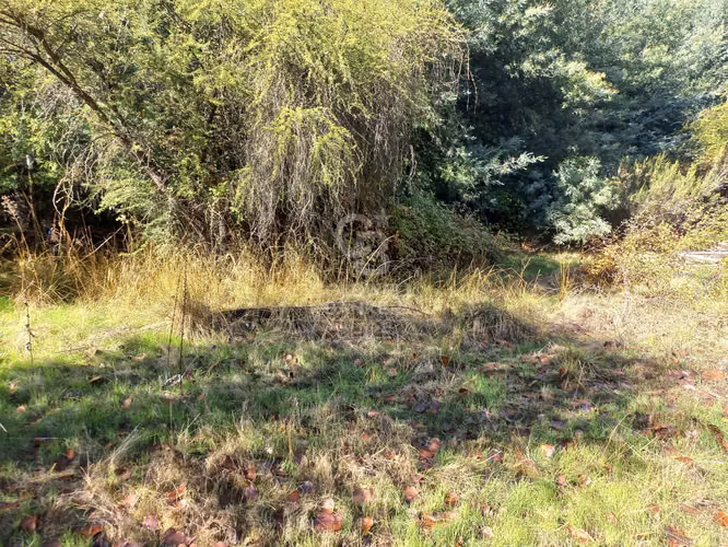 Parcelas agrícolas de 5.000 m² en Marchigüe