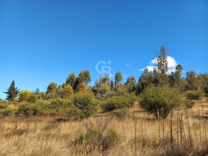 Parcelas agrícolas de 5.000 m² en Marchigüe