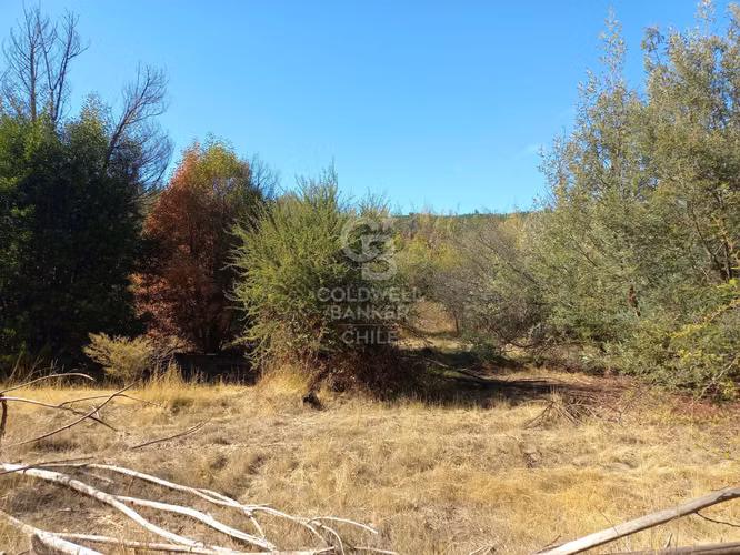 Parcelas agrícolas de 5.000 m² en Marchigüe