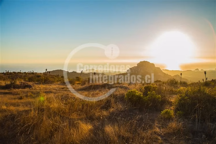 SITIO LOS MOLLES - Imagen 5