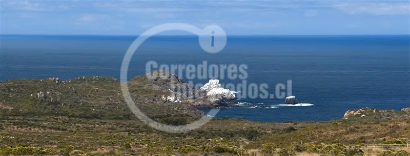 SITIO LOS MOLLES - Imagen 4