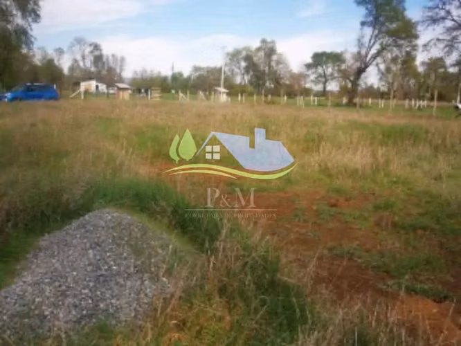 Se vende parcela en Yungay, región del Ñuble