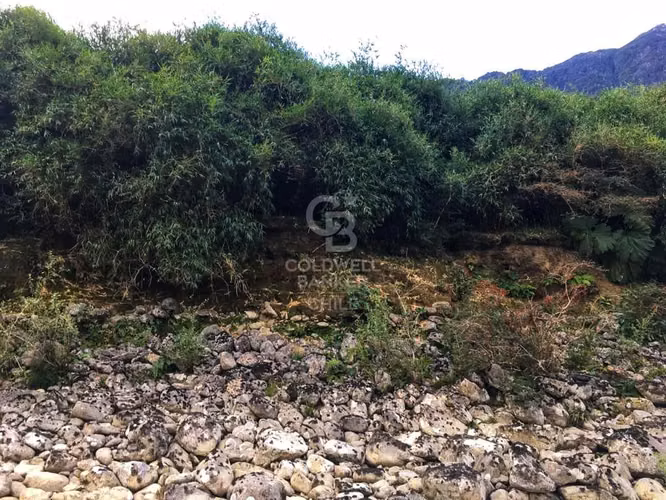 Río y Acceso Fluvial: Paraíso en Puerto El Arenal