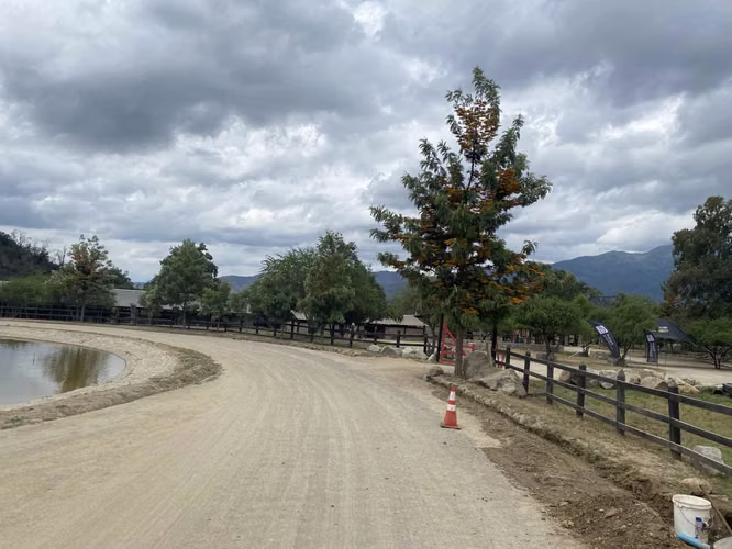 REMATE !! PARCELA 5000 MT2 PARQUE CANTILLANA (SIN COMISIÓN)