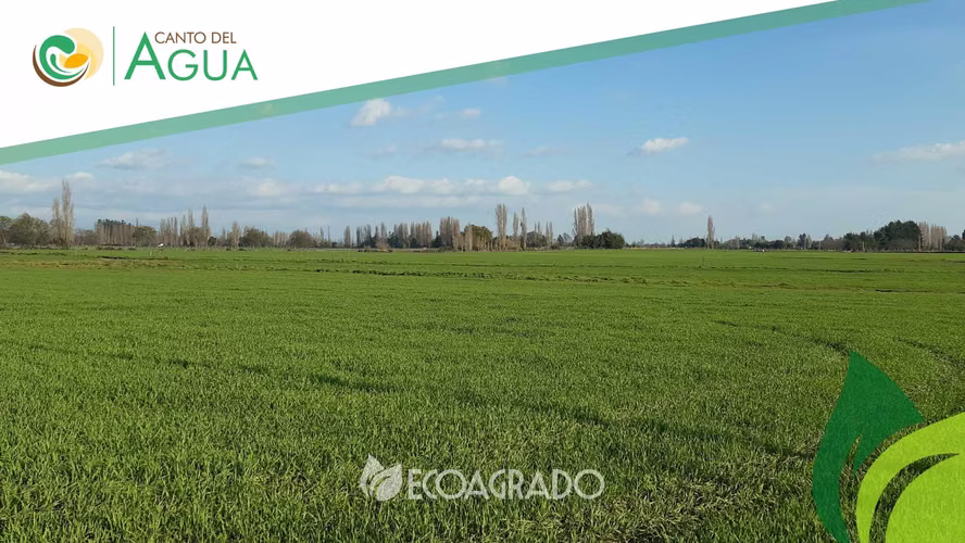 Parcelas en venta en Pinto (129083)