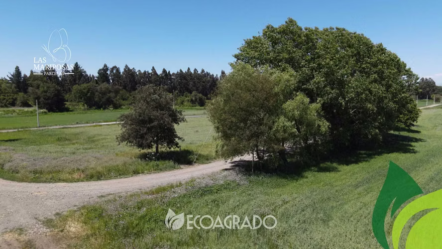 Parcelas Camino a las Mariposas Chillán  (129090)