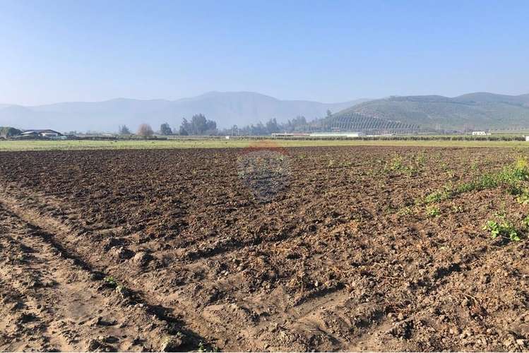 Terreno agrícola con ds de agua en melipilla.