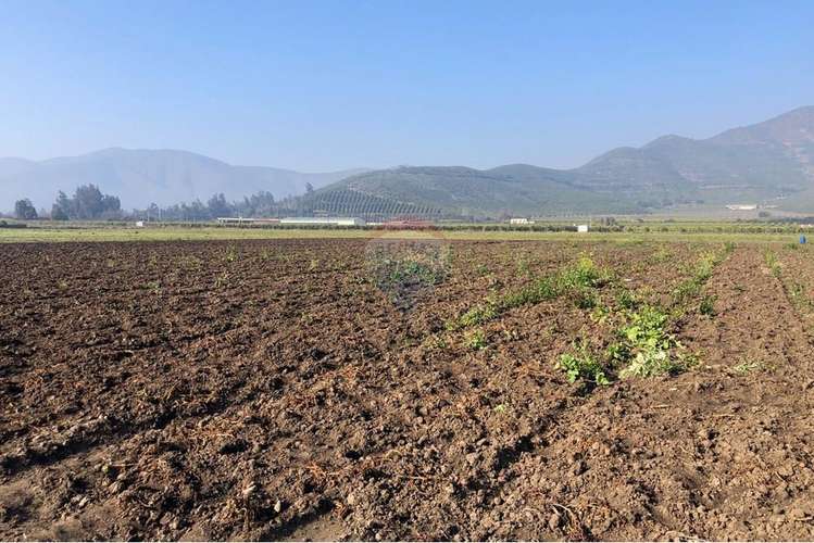 Terreno agrícola con ds de agua en melipilla.