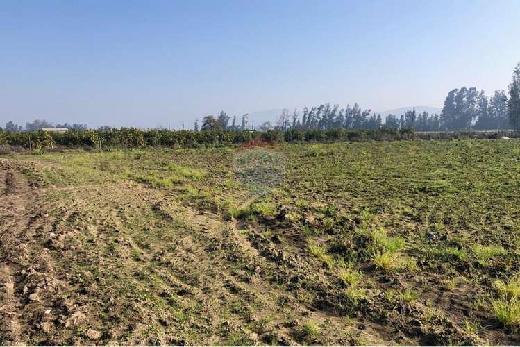 Terreno agrícola con ds de agua en melipilla.