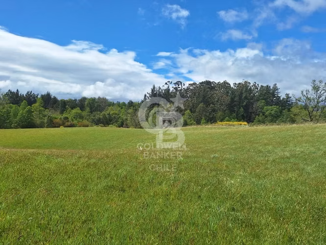 Campo 10,3 ha en Riachuelo