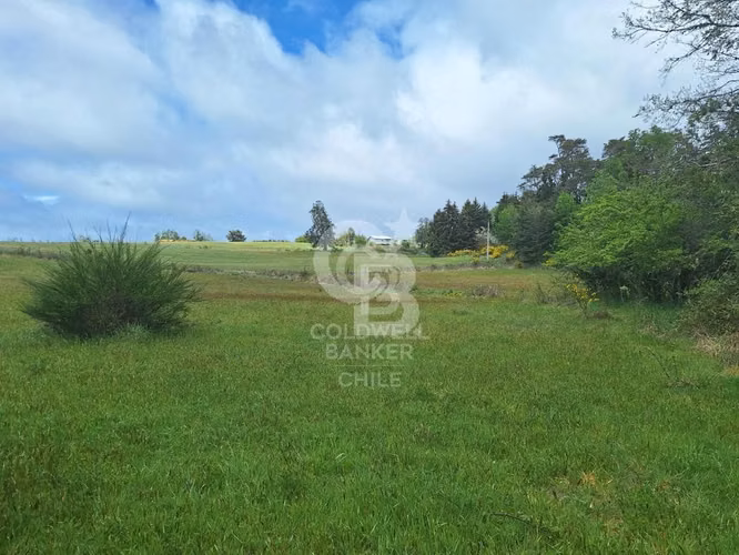 Campo 10,3 ha en Riachuelo