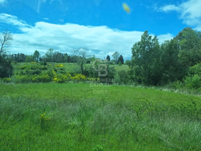 Campo en Venta: 10,300 ha en Localidad de Riachuelo