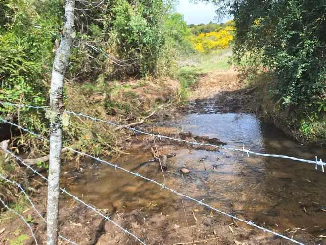 Campo en Venta: 10,300 ha en Localidad de Riachuelo