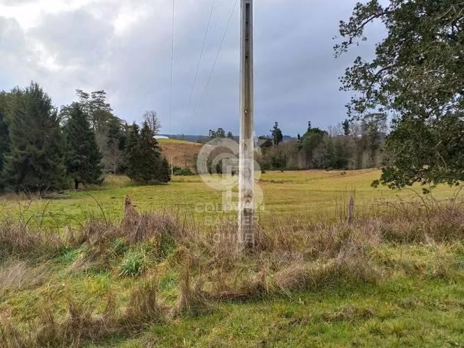 Campo 10,3 ha en Riachuelo