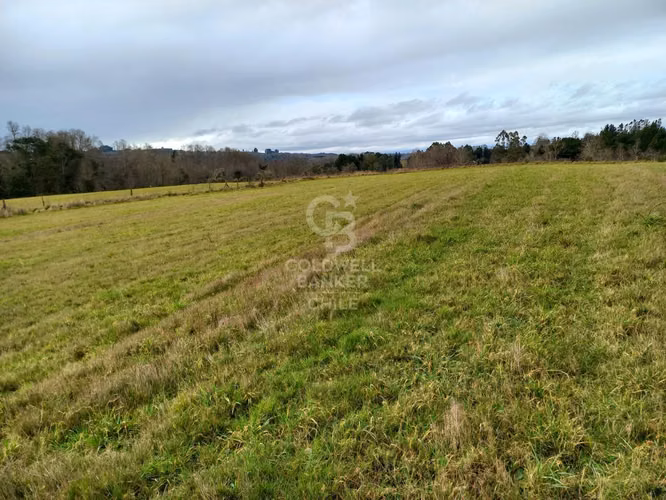Campo en Venta: 10,300 ha en Localidad de Riachuelo