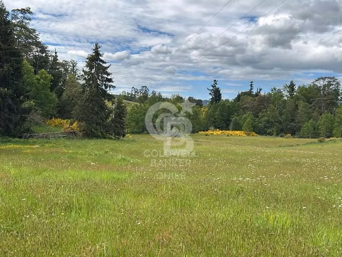 Campo 10,3 ha en Riachuelo