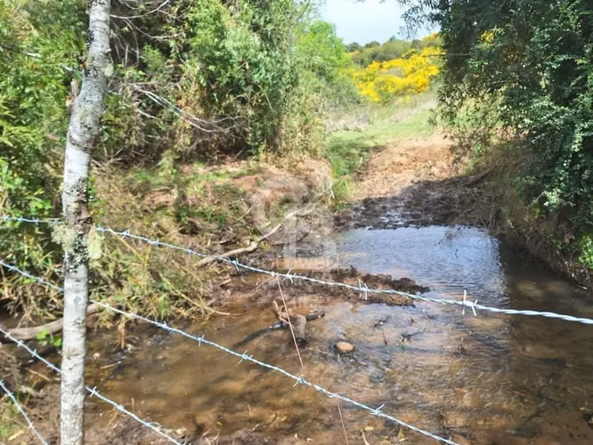 Campo 10,3 ha en Riachuelo