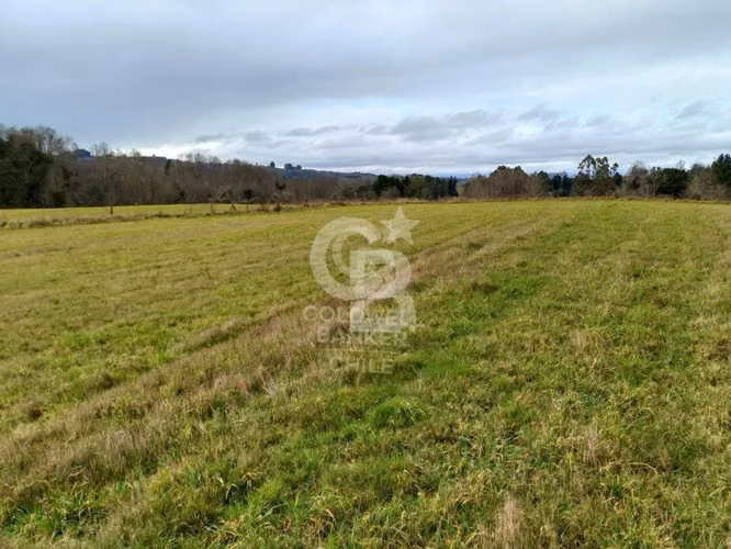 Campo 10,3 ha en Riachuelo