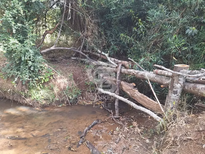Campo 10,3 ha en Riachuelo