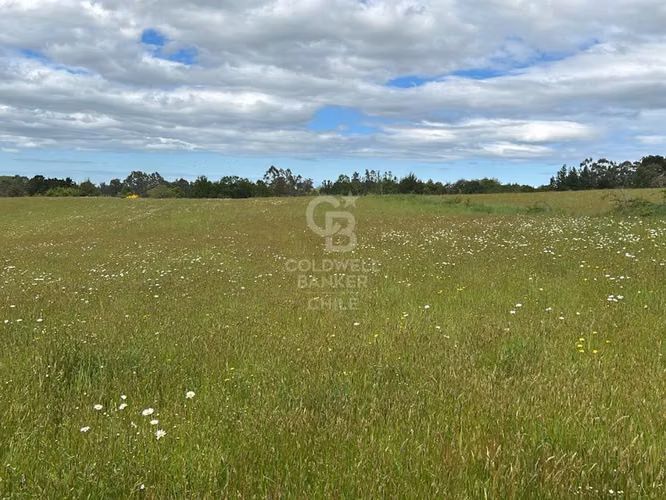 Campo en Venta: 10,300 ha en Localidad de Riachuelo