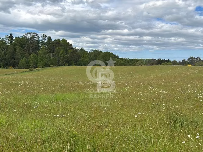 Campo 10,3 ha en Riachuelo