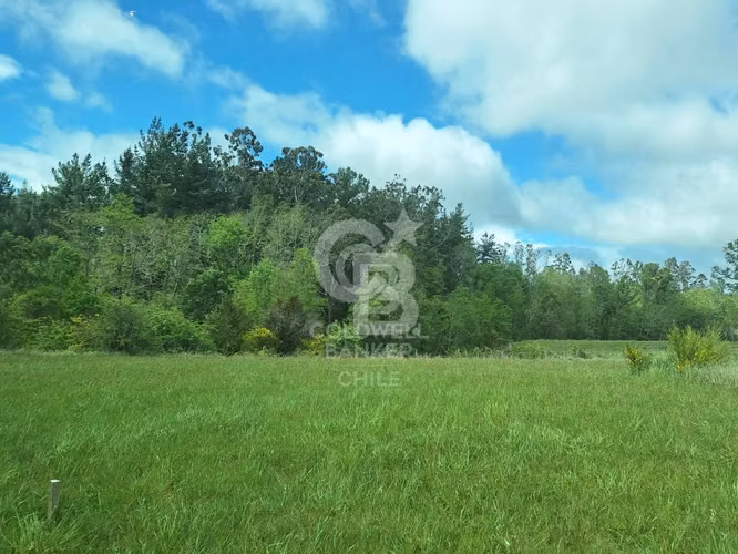 Campo 10,3 ha en Riachuelo