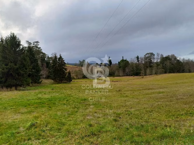 Campo 10,3 ha en Riachuelo