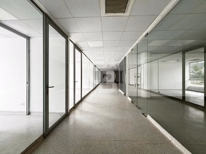 Oficina Ciudad Empresarial 286 m2
