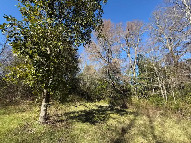 Terreno en venta ubicado en Molco