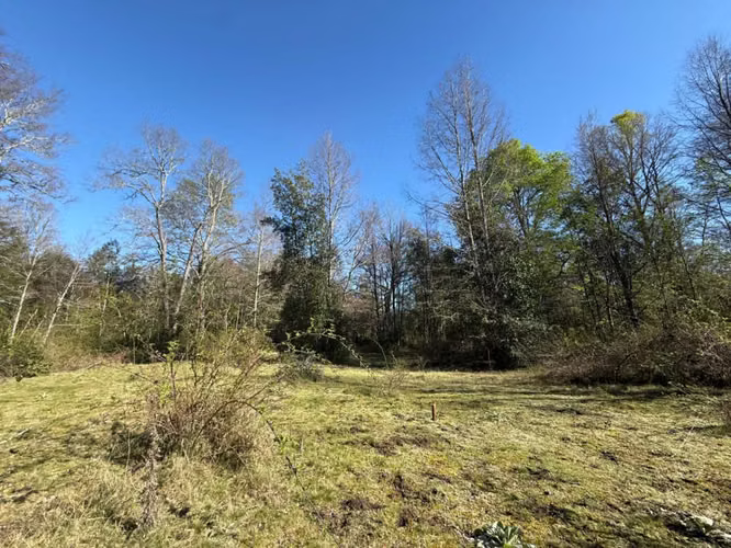 Terreno en venta ubicado en Molco