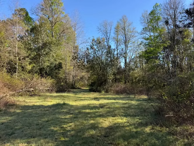Terreno en venta ubicado en Molco