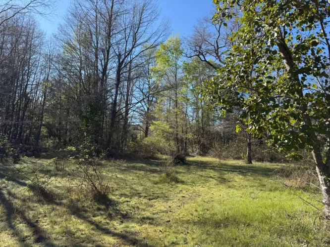 Terreno en venta ubicado en Molco