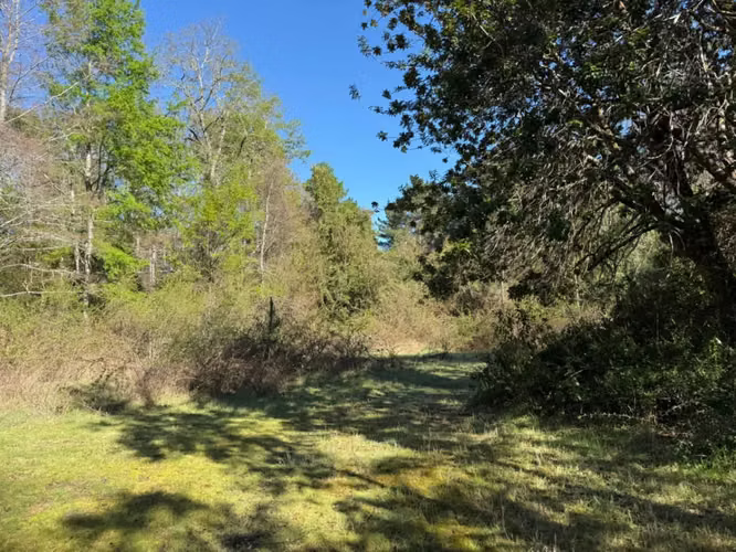 Terreno en venta ubicado en Molco