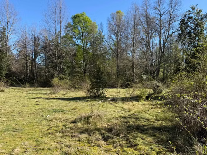 Terreno en venta ubicado en Molco