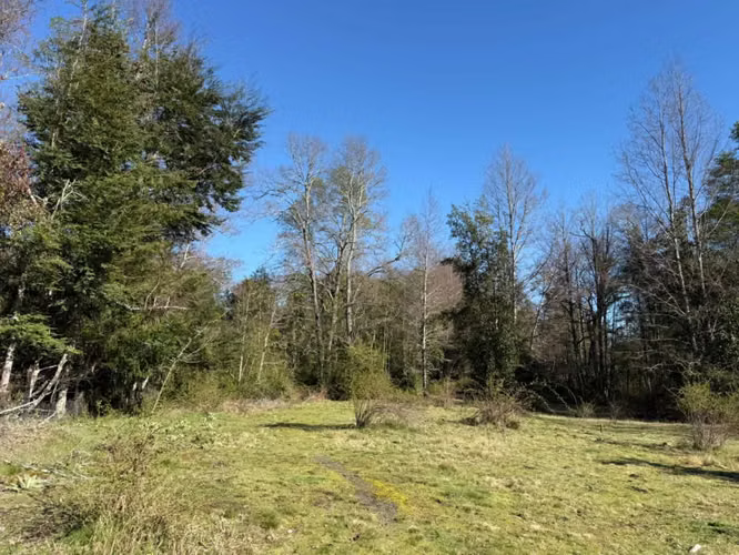 Terreno en venta ubicado en Molco