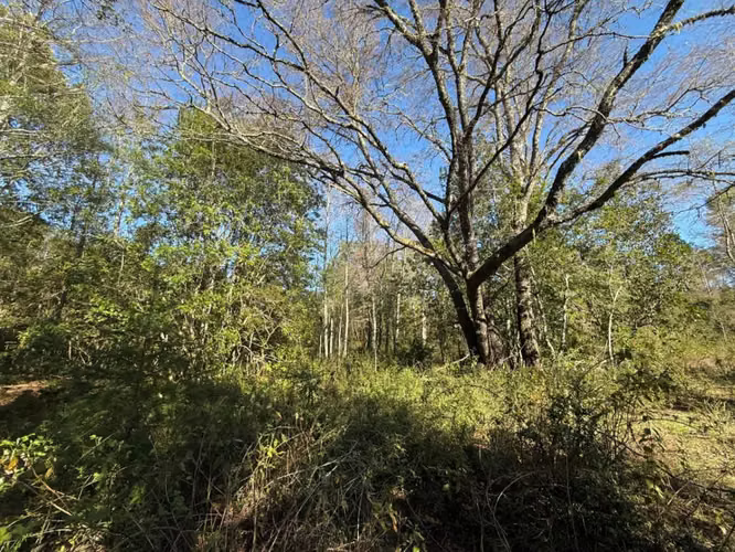 Terreno en venta ubicado en Molco