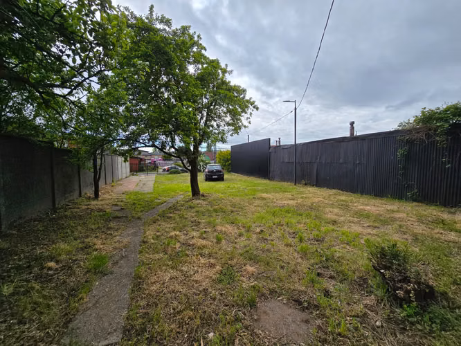 Venta de amplio terreno con cabaña en sector Bueras, Valdivia - Imagen 11