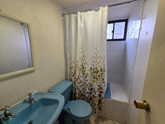 Venta de amplio terreno con cabaña en sector Bueras, Valdivia - Imagen 17