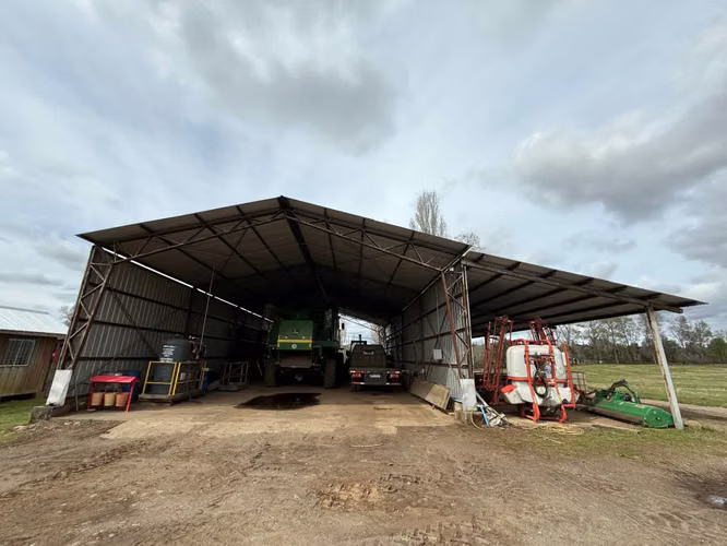 Agrícola en venta de 250ha ubicado en Villarrica Alto