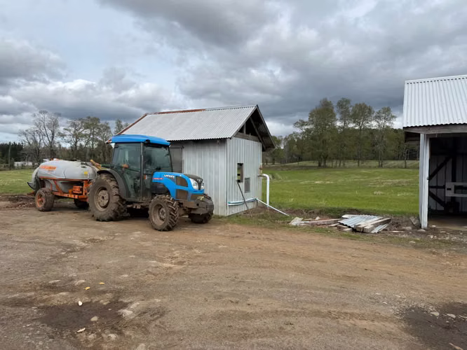 Agrícola en venta de 250ha ubicado en Villarrica Alto
